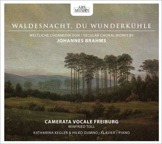 Cover for J. Brahms · Secular Choral Works (CD) (2012)