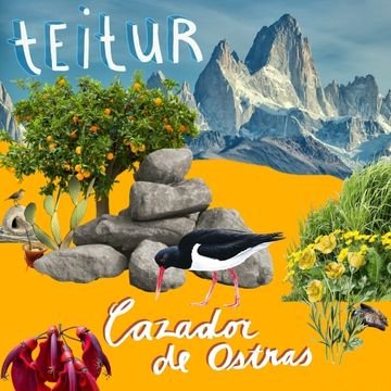 Cover for Teitur · Cazador De Ostras (CD) (2021)