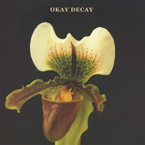 Cover for Canshaker Pi · Okay Decay (CD) (2020)