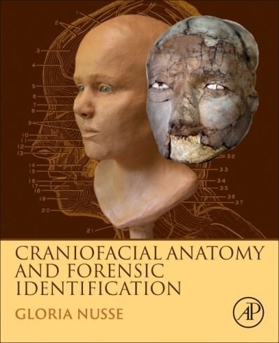 Cover for Nusse, Gloria (Forensic Artist and Professor, San Francisco State University, San Francisco, CA, USA) · Craniofacial Anatomy and Forensic Identification (Gebundenes Buch) (2022)