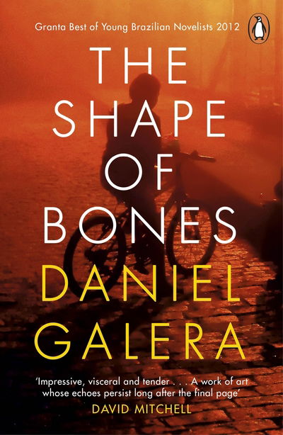 Cover for Daniel Galera · The Shape of Bones (Paperback Book) (2019)
