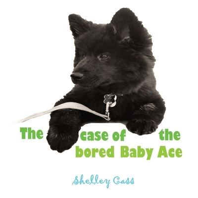 Cover for Shelley Cass · The Case of the Bored Baby Ace : Book Two in the Sleep Sweet Series (Paperback Book) (2021)