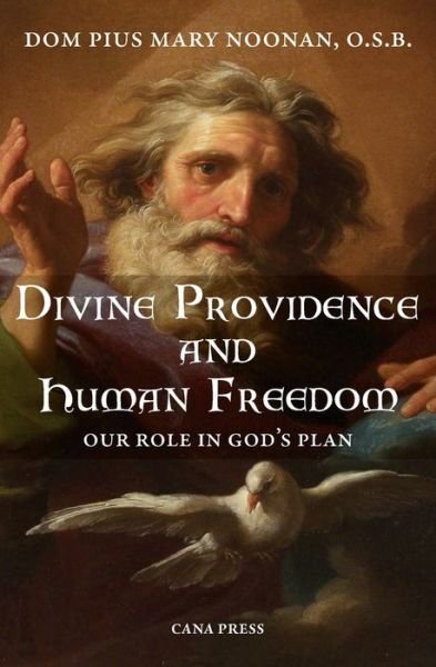 Cover for Pius Mary Noonan · Divine Providence And Human Freedom (Pocketbok) (2021)