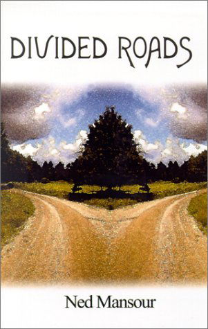 Cover for Ned Mansour · Divided Roads (Hardcover Book) (2001)