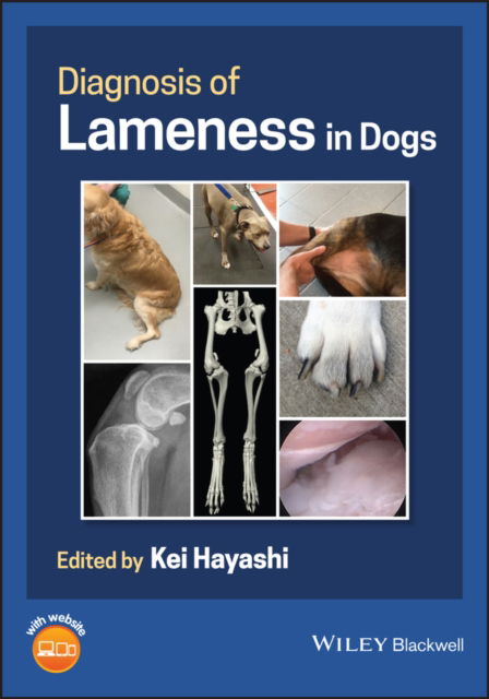 Cover for K Hayashi · Diagnosis of Lameness in Dogs (Paperback Book) (2023)