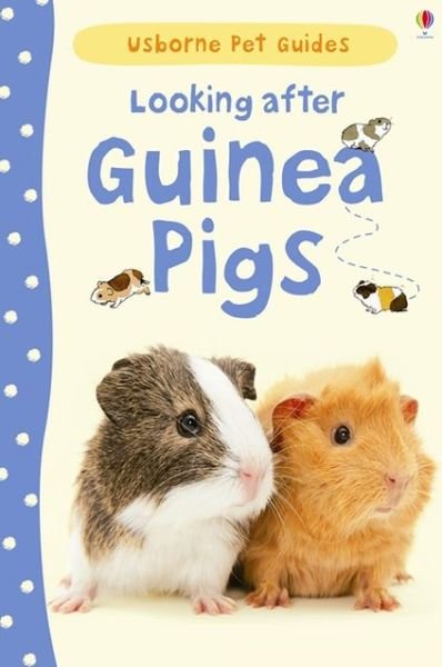Cover for Laura Howell · Looking after Guinea Pigs - Pet Guides (Hardcover bog) (2013)