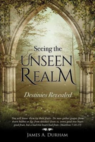 Cover for James A Durham · Seeing the Unseen Realm (Paperback Book) (2016)