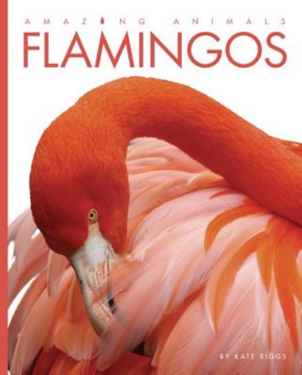 Cover for Kate Riggs · Amazing Animals: Flamingos (Hardcover Book) (2015)