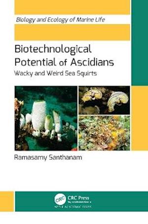 Cover for Biotechnological Potential of Ascidians: Wacky and Weird Sea Squirts (Hardcover Book) (2025)