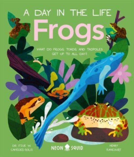 Cover for Itzue W. Caviedes-Solis · Frogs (A Day in the Life): What Do Frogs, Toads, and Tadpoles Get Up to All Day? - A Day In The Life (Hardcover bog) (2023)
