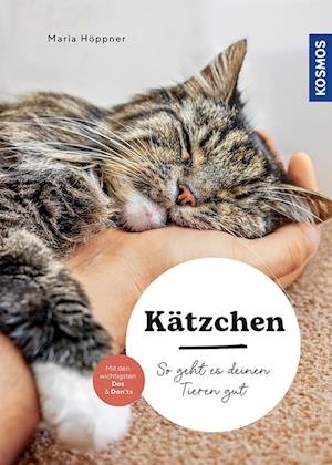 Kätzchen - Maria Höppner - Bücher - Kosmos - 9783440175880 - 24. Juni 2024