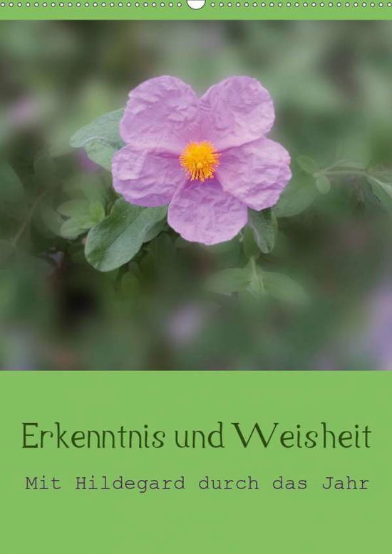 Cover for Bergmann · Erkenntnis und Weisheit - Hild (Book)