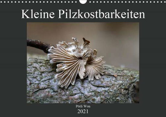 Cover for Won · Kleine Pilzkostbarkeiten (Wandkalen (Book)