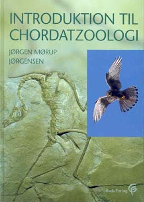 Cover for Jørgen Mørup Jørgensen · Introduktion til chordatzoologi (Indbundet Bog) [1. udgave] (2004)