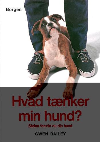 Cover for Gwen Bailey · Hvad tænker min hund? (Bound Book) [1st edition] (2004)