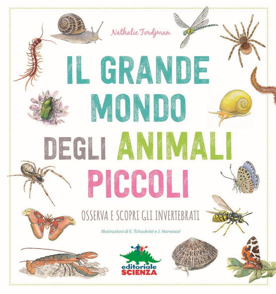 Cover for Nathalie Tordjman · Il Grande Mondo Degli Animali Piccoli. Osserva E Scopri Gli Invertebrati (Book)