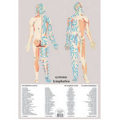 Jan van Baarle · Systema Lymphatica -- A2 (Poster) (2011)