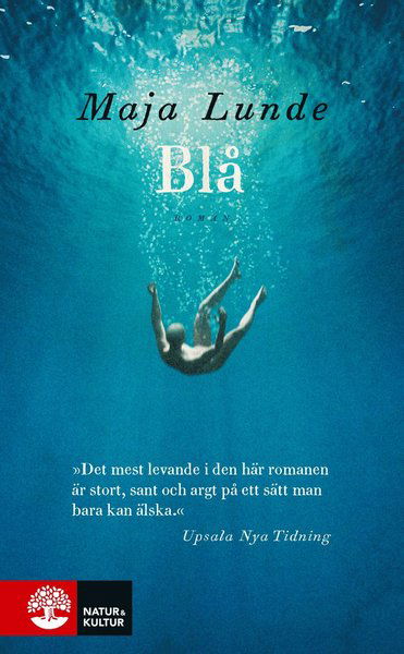 Blå - Maja Lunde - Bøker - Natur & Kultur Allmänlitteratur - 9789127160880 - 27. april 2019