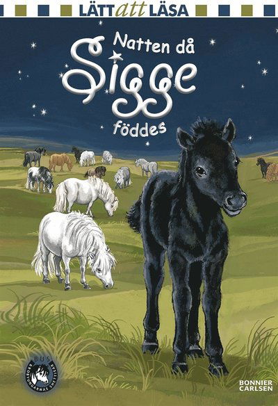 Cover for Lin Hallberg · Sam och Sigge: Natten då Sigge föddes (ePUB) (2015)