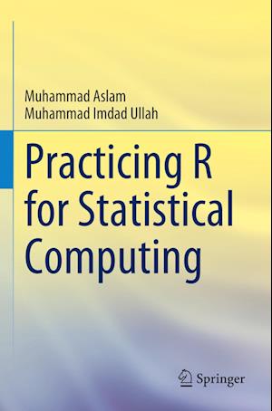Cover for Muhammad Aslam · Practicing R for Statistical Computing (Paperback Book) [2023 edition] (2024)