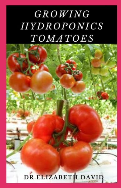 Cover for Dr Elizabeth David · Growing Hydroponics Tomatoes (Paperback Book) (2020)