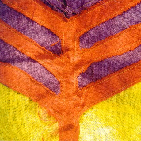 Cover for Yeah Yeah Yeahs · Show Your Bones (CD) (2006)
