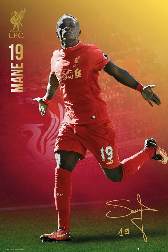 Cover for Liverpool · Liverpool: Mane 16/17 (Poster Maxi 61x91,5 Cm) (MERCH)