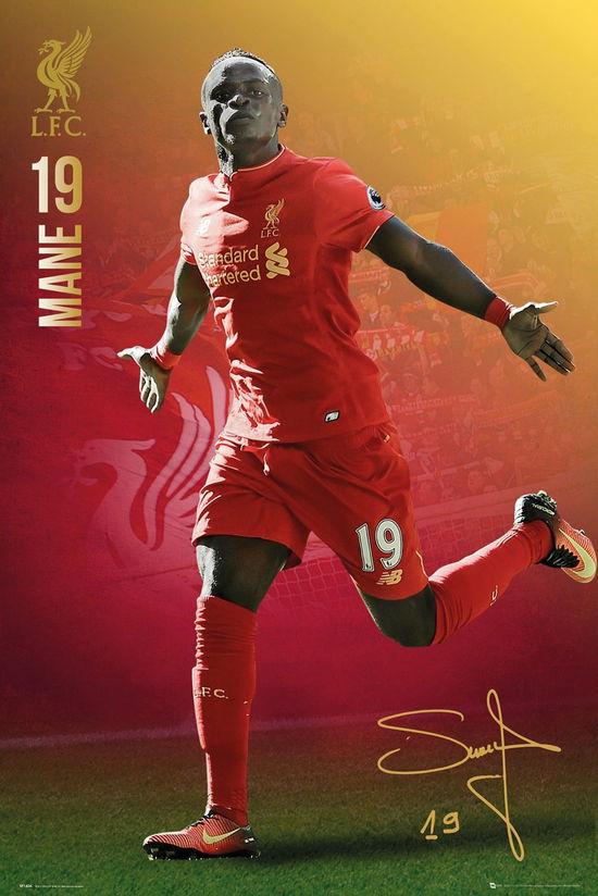 Cover for Liverpool · Liverpool: Mane 16/17 (Poster Maxi 61x91,5 Cm) (MERCH)