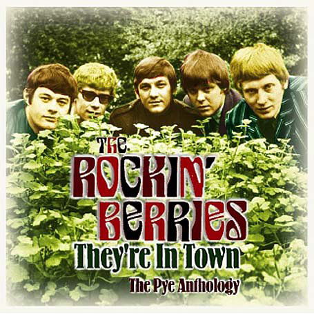 Cover for Rockin Berries · They're in Town (CD) (2006)