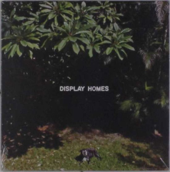Cover for Display Homes · Climate Change (7&quot;) (2017)