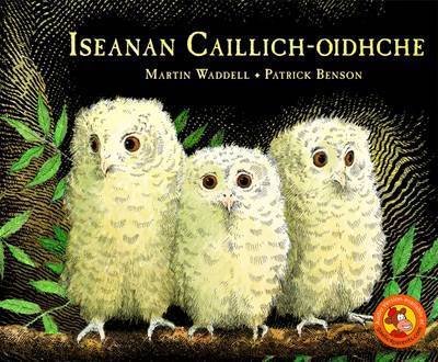 Cover for Martin Waddell · Iseanan Caillich-Oidhche (Paperback Book) (2016)