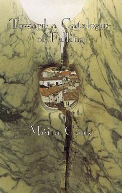 Toward a Catalogue of Falling - Meira Cook - Books - BRICK BOOKS - 9780919626881 - October 16, 1996