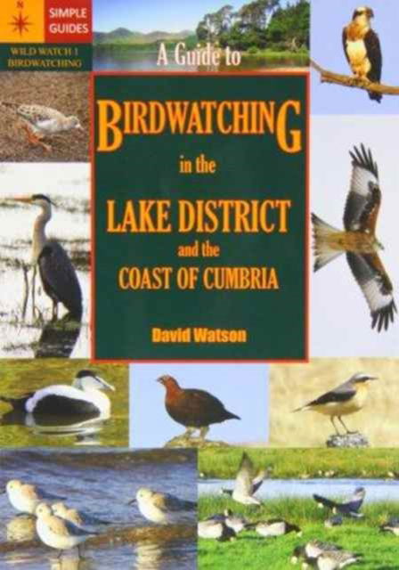 Cover for David Watson · A Guide to Birdwatching in the Lake District and the Coast of Cumbria (Taschenbuch) (2011)