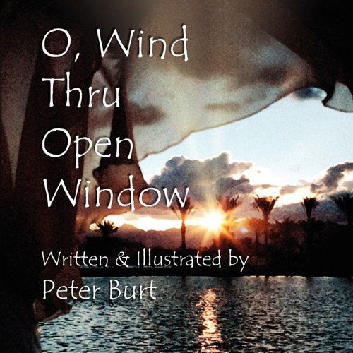 Cover for Peter Burt · O, Wind Thru Open Window (Paperback Book) (2010)