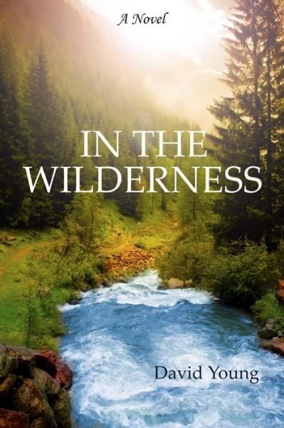 Cover for David Young · In the Wilderness (Paperback Book) (2013)