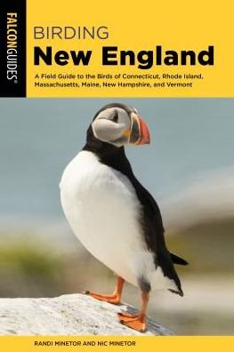 Cover for Randi Minetor · Birding New England: A Field Guide to the Birds of Connecticut, Rhode Island, Massachusetts, Maine, New Hampshire, and Vermont - Birding Series (Paperback Book) (2019)