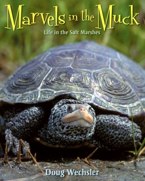 Cover for Doug Wechsler · Marvels in the muck (Book) [1st edition] (2008)