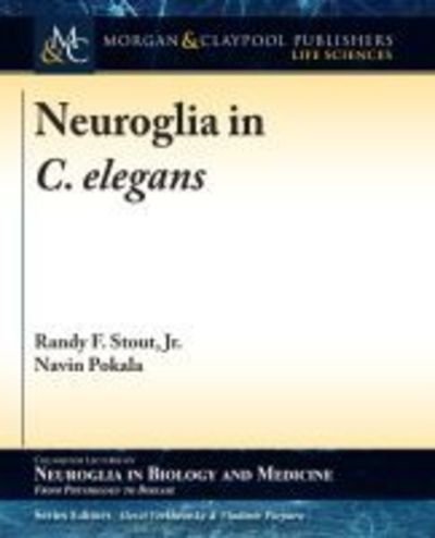 Cover for Randy F. Stout Jr · Neuroglia in C. elegans - Colloquium Series on Neuroglia in Biology and Medicine: From Physiology to Disease (Paperback Book) (2018)