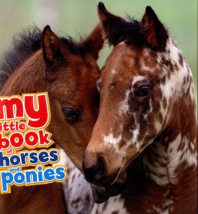 Cover for Nicola Jane Swinney · My Little Book of Horses and Ponies - My Little Book Of (Gebundenes Buch) (2017)