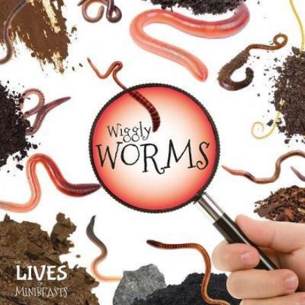 Cover for Holly Duhig · Wiggly Worms - The Lives of Minibeasts (Hardcover Book) (2017)