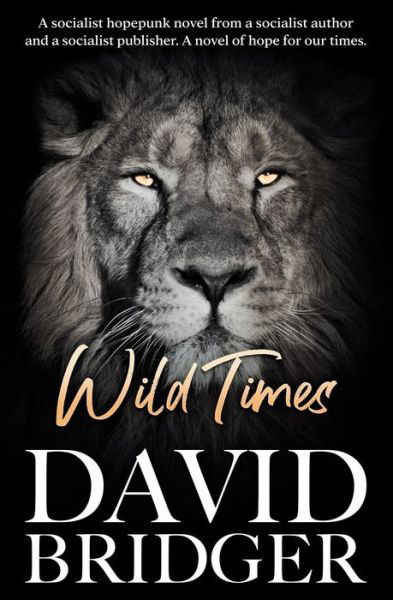 Cover for David Bridger · Wild Times (Paperback Book) (2021)