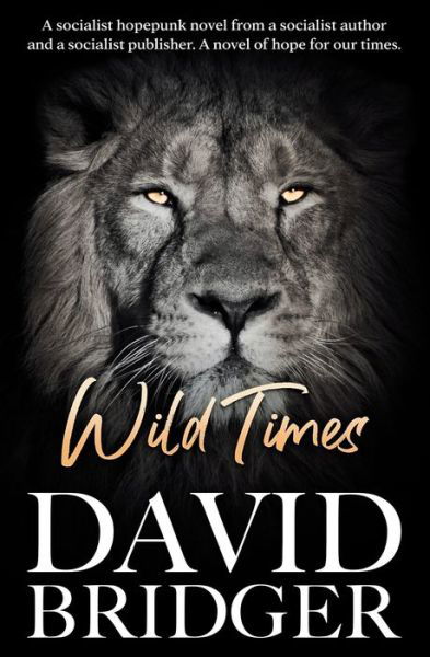 Wild Times - David Bridger - Książki - Beaten Track Publishing - 9781786454881 - 21 czerwca 2021