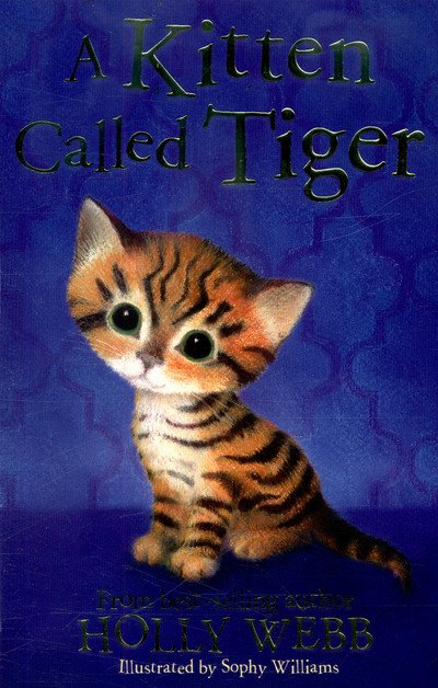 Cover for Holly Webb · A Kitten Called Tiger - Holly Webb Animal Stories (Paperback Book) (2017)