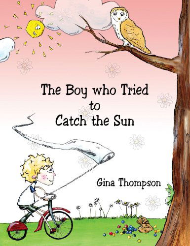 Cover for Gina Thompson · The Boy who Tried to Catch the Sun (Paperback Book) (2008)