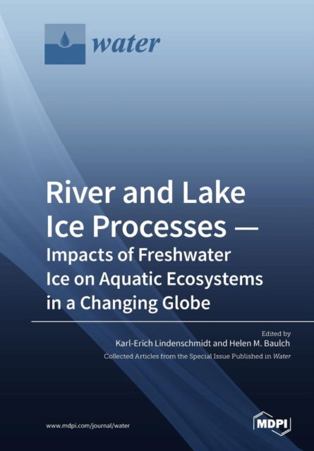 Cover for Karl-Erich Lindenschmidt · River and Lake Ice Processes - Impacts of Freshwater Ice on Aquatic Ecosystems in a Changing Globe (Pocketbok) (2018)