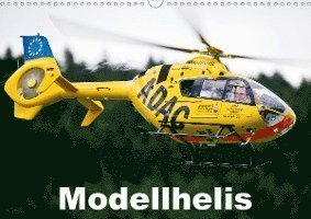Modellhelis (Wandkalender 2020 DI - Selig - Boeken -  - 9783670535881 - 