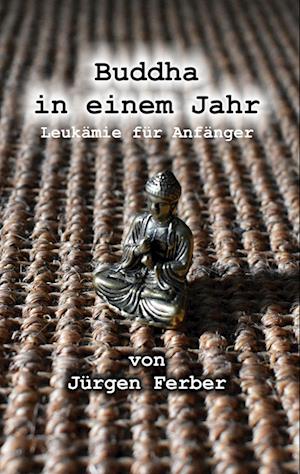 Cover for Jürgen Ferber · Buddha in einem Jahr (Book) (2025)