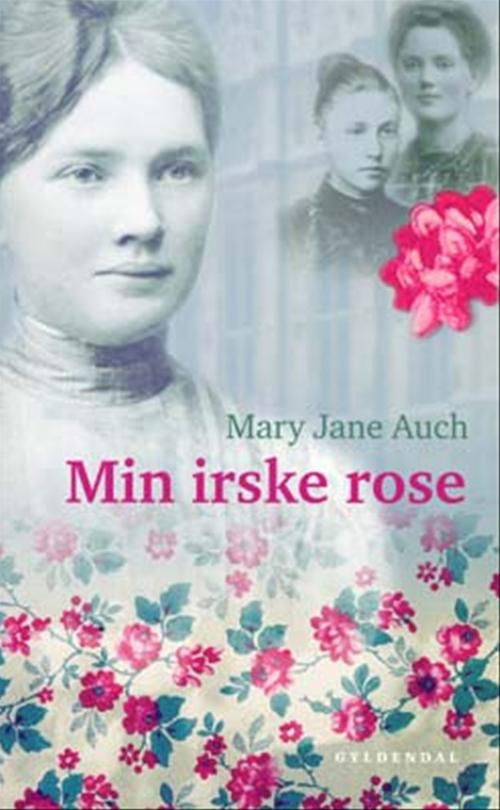 Cover for Mary Jane Auch · Min irske rose (Sewn Spine Book) [1st edition] (2004)