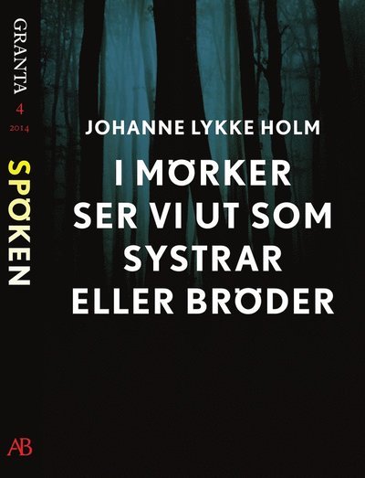 Cover for Johanne Lykke Holm · I mörker ser vi ut som systrar eller bröder: en e-singel ur Granta #4 (ePUB) (2014)