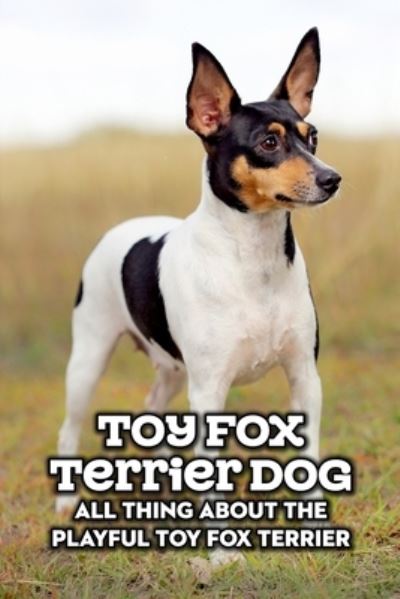 Cover for Antillon Gloria · Toy Fox Terrier Dog: All Thing about The Playful Toy Fox Terrier: Toy Fox Terrier Dog Breed Complete Guide (Paperback Book) (2021)